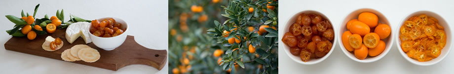 kumquat products